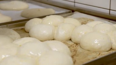 Pişirme önce çırpılmış tavuk yumurtası ile buns Cook pudra yağlar.