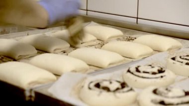Pişirme önce çırpılmış tavuk yumurtası ile buns Cook pudra yağlar.