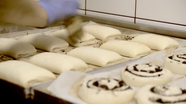 Cozinhe confeiteiro lubrifica os pães com ovos de galinha batidos antes de assar . — Vídeo de Stock