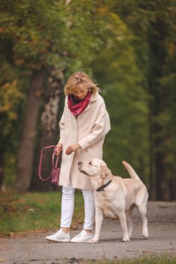 Bir kadın onun Labrador ile sonbaharda parkta yürüyor.