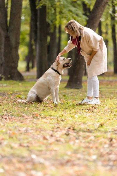 Vacker Ung Kvinna Promenader Med Sin Retriever Parken Höst Sitta — Stockfoto