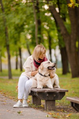 Genç bir kadın parkta bir bankta oturur ve onu Labrador yakın yürür.