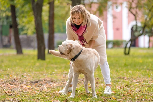 Vacker Ung Kvinna Promenader Med Sin Retriever Parken Höst Sitta — Stockfoto