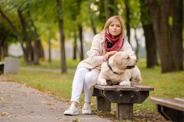 Ung Kvinna Sitter Bänk Parken Och Hennes Labrador Promenader Närheten — Stockfoto