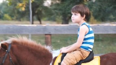 küçük çocuk yaz parkta bir midilli rides