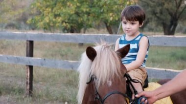 küçük çocuk yaz parkta bir midilli rides