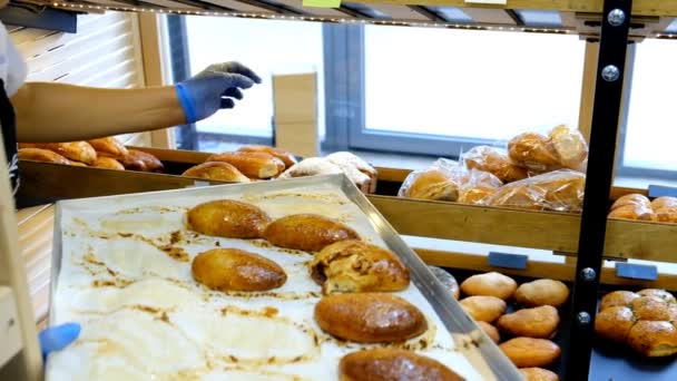 O chef de pastelaria expõe doces frescos na loja na padaria . — Vídeo de Stock