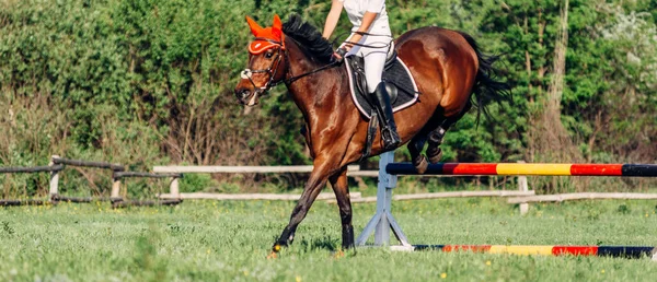 Kvinna Jockey Rider Häst Tävling Hoppning — Stockfoto