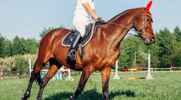 Een Vrouw Jockey Rijdt Een Paard Een Wedstrijd Het Springen — Stockfoto