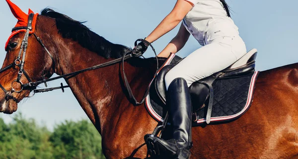 Una Mujer Jinete Monta Caballo Una Competición Saltos —  Fotos de Stock