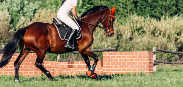 Een Vrouw Jockey Rijdt Een Paard Een Wedstrijd Het Springen — Stockfoto