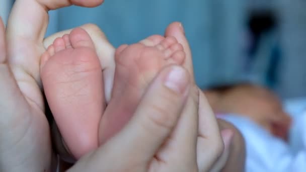 Madre trazos su recién nacido babys pies — Vídeos de Stock