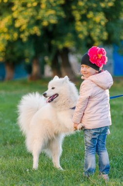 küçük kız köpeğini Samoyed Park ile yürüyor