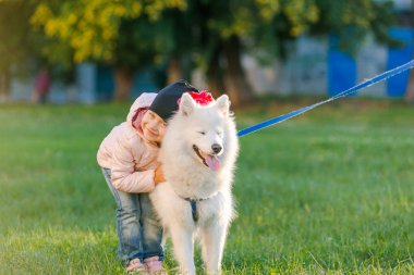 küçük kız köpeğini Samoyed Park ile yürüyor