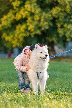 küçük kız köpeğini Samoyed Park ile yürüyor