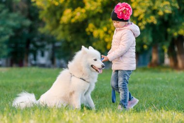 küçük kız köpeğini Samoyed Park ile yürüyor