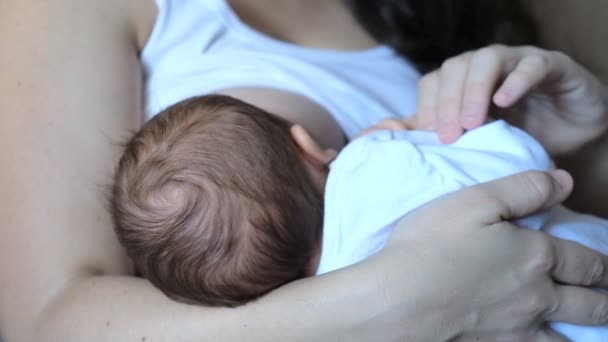 Een vrouw is borstvoeding haar pasgeboren baby. — Stockvideo