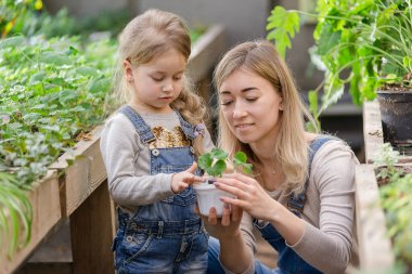 Küçük kızı olan genç bir kadın saksının içine bitki yerleştiriyor..