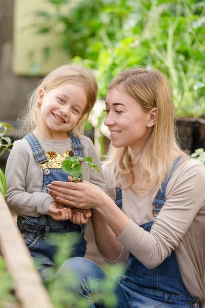 A young woman with a small daughter is planting a plant in a pot. — Stock Photo, Image