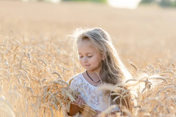 Malá blondýnka stojí v létě na pšeničném poli s hřeby v rukou a usmívá se. — Stock fotografie