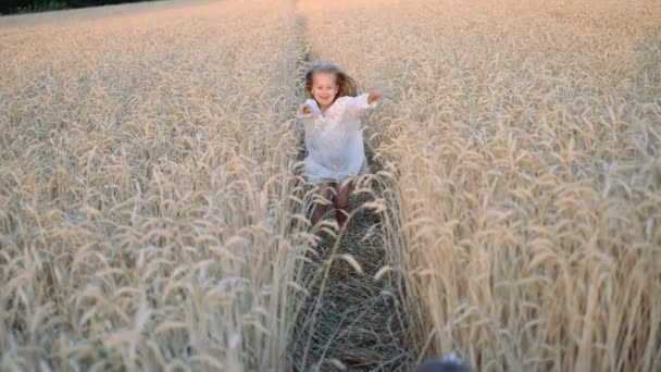 Liten flicka går till mamma och kramar i ett vetefält på sommaren. — Stockvideo