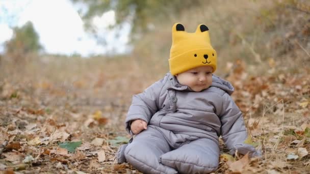 Bambino Siede Foglie Gialle Nel Parco Autunno Passeggiata Autunnale Con — Video Stock