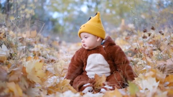 幼児は秋に公園の黄色の葉に座っています 赤ちゃんと秋の散歩 黄色の紅葉をした子供の取得 — ストック動画