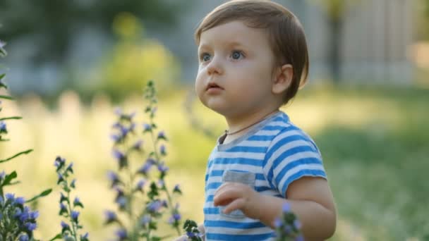 Niño Camina Parque Verano Mira Las Flores Pequeño Niño Sonríe — Vídeos de Stock