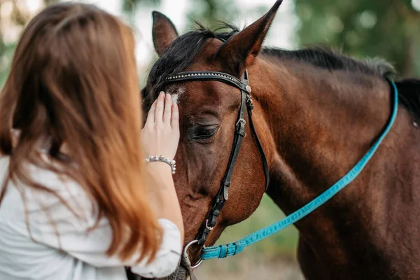 Uma Menina Acaricia Cavalo Seu Cavalo Favorito Cabeça Comunicação Uma — Fotografia de Stock
