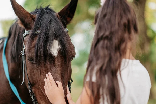 Amizade de uma criança com um cavalo. Uma menina está carinhosamente acariciando seu cavalo. Meninas andando com um cavalo no parque no outono. — Fotografia de Stock
