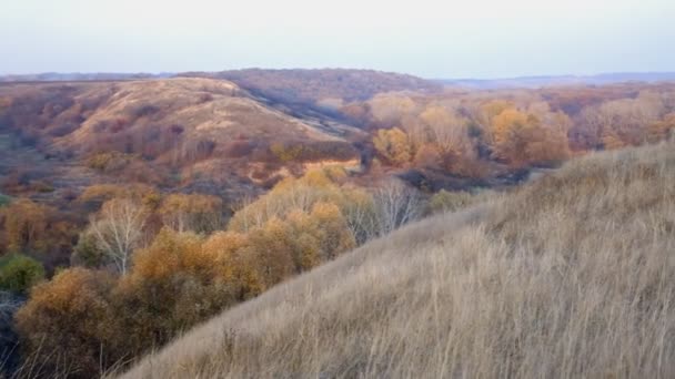 Uitzicht Vallei Rivier Vanaf Berg Herfst Bij Zonsondergang — Stockvideo