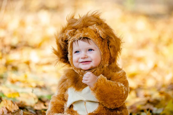 Aslan kostümlü çocuk parktaki sarı sonbahar yapraklarında oynuyor. Çocuğun neşeli ve mutlu bir çocukluğu..