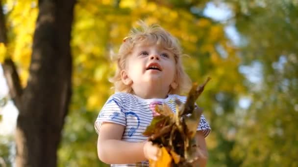 Dítě Podzim Baví Parku Radost Teplého Podzimního Dne Zábavná Procházka — Stock video
