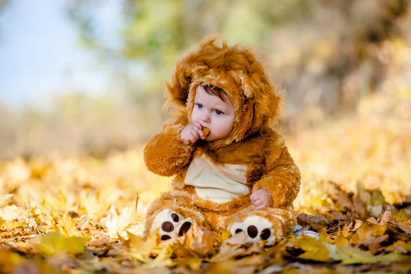 Kid in a lion costume plays in the yellow autumn leaves in the park. Cheerful and happy childhood of the kid.