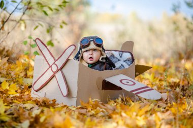 Mutlu bir çocuk bir uçakta seyahat etmeyi ve bir uçak pilotunu oynamayı hayal eder. Çocuk karton bir uçakta oturuyor ve sonbaharda parkta pilotmuş gibi davranıyor..