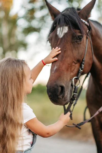 Emocjonalny kontakt z koniem. Jazda konna. Dziewczyna jeździ na koniu latem. — Zdjęcie stockowe