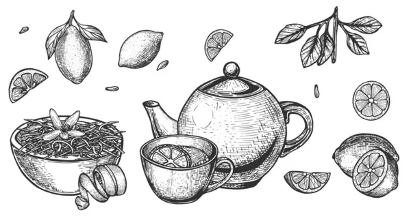 Чай Лимонною Цедрою Чайник Лимонний Фрукт Вільний Малюнок Векторні Ілюстрації — стоковий вектор