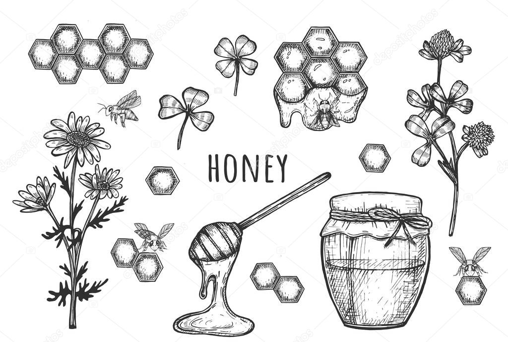 Composition with honey. a jar of honey, honeycombs, a beehive on a branch, a spoon of honey, a wooden barrel with honey. Vector graphics. Hand drawing. Eps