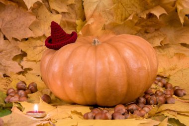 Cadılar Bayramı için kabak kırmızı şapka ve fındık ile yeşillik mum ile