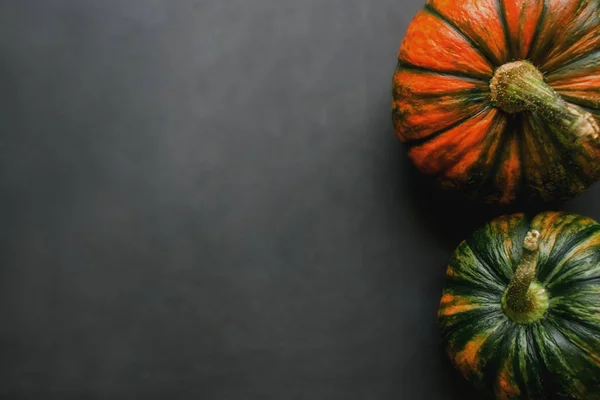 Calabazas Sobre Fondo Gris Para Texto —  Fotos de Stock