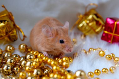Hafif arka planda tatil süslemeleri olan küçük fare