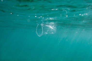 Plastik bardak açık denizde suyun altında yüzer. Çevre kirliliği kavramı.