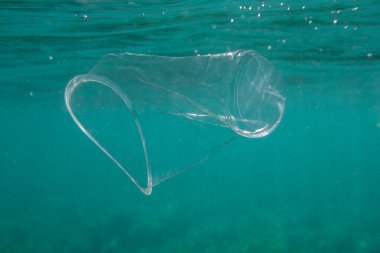 Plastik bardak okyanusun altında. Çevre kirliliği kavramı.