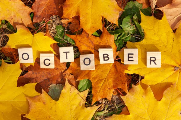 10月という言葉は落ち葉を背景に木の文字で書かれています 秋のコンセプトとカレンダーのコンセプト スペースのコピー — ストック写真
