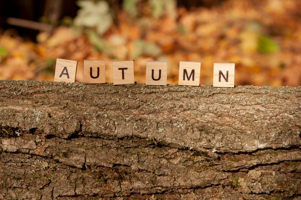 Palabra Otoño Está Escrita Letras Madera Sobre Fondo Otoñal Concepto —  Fotos de Stock