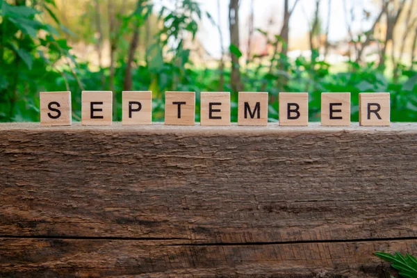 9月という言葉は木製の手紙の背景に書かれている 秋のコンセプトとカレンダーのコンセプト スペースのコピー — ストック写真