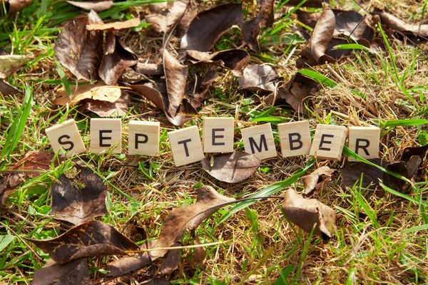 Mot Septembre Est Écrit Lettres Bois Sur Fond Feuilles Tombées — Photo