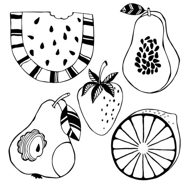 Bir meyvenin siyah çizgisi çizimini yapın. El çizim vektörü grafiği. Tebrik kartları, posterler, çıkartmalar ve profesyonel tasarımlar için grafiksel öğeler. Eps 8