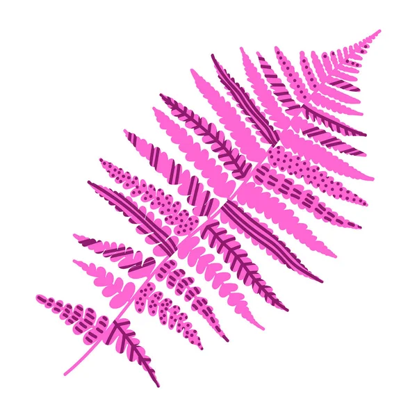 Vektorillustrasjon av et tropisk anlegg. Rosa bregne isolert på hvit bakgrunn. Håndtrukne greiner og blader – stockvektor