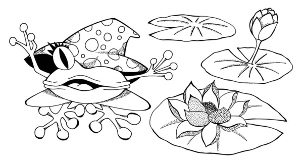 Isolated frog in a big hat, water lily. Black outline. Hand drawing coloring book for children and adults. Beautiful drawings with small details. Design for cards, flyers, brochures. Vector Royalty Free Stock Vectors